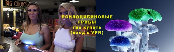 стаф Беломорск