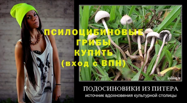 ECSTASY Белокуриха