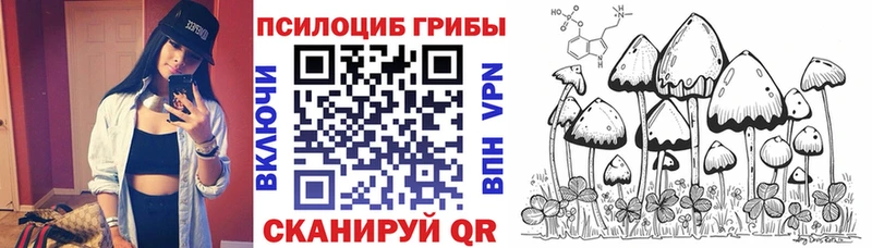 Галлюциногенные грибы мицелий  Боровичи 